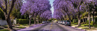 Area Served: Hancock Park
