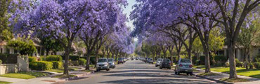 Area Served: La Palma