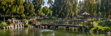 Area Served: Laguna Woods